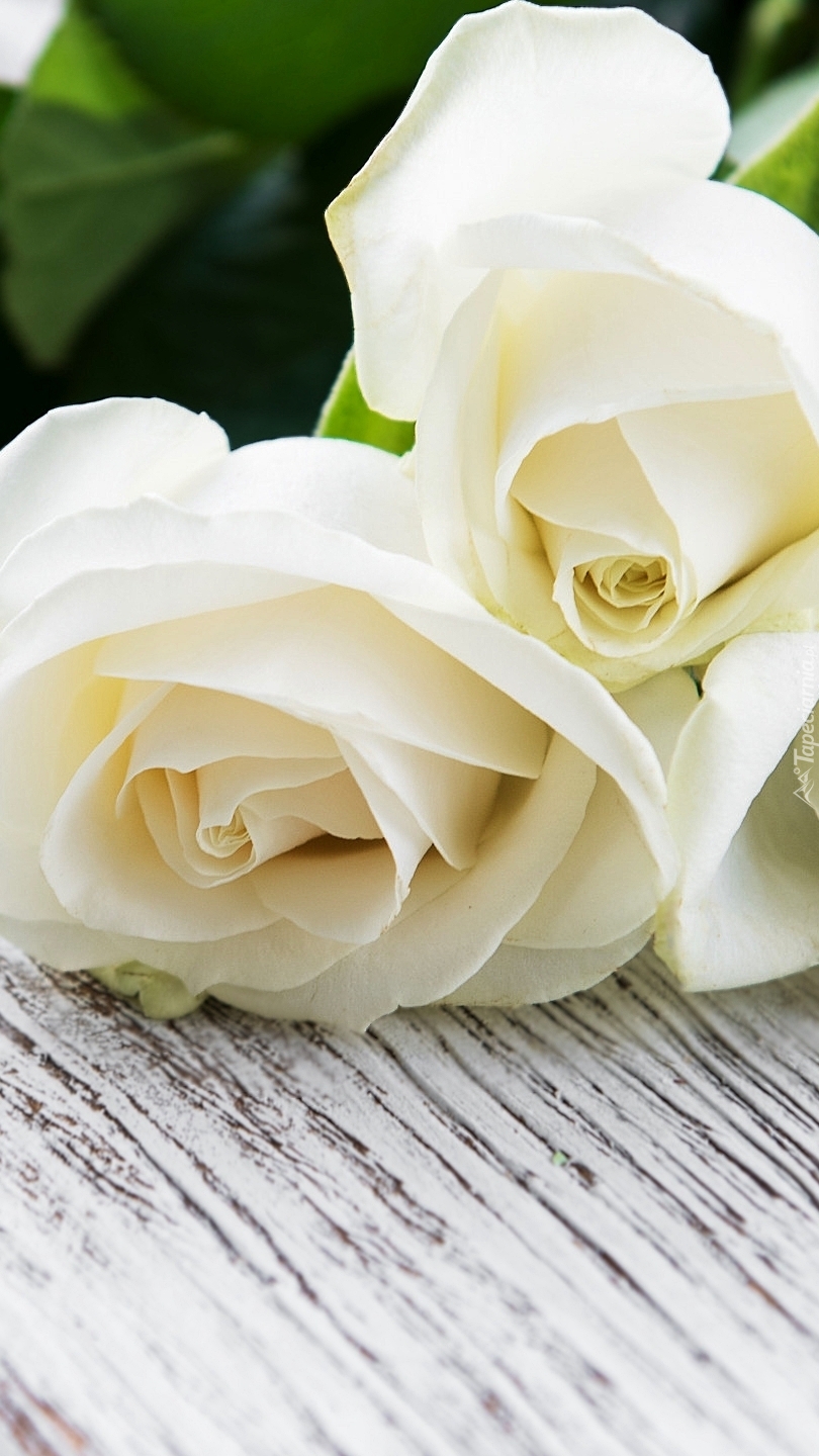 Białe róże na desce