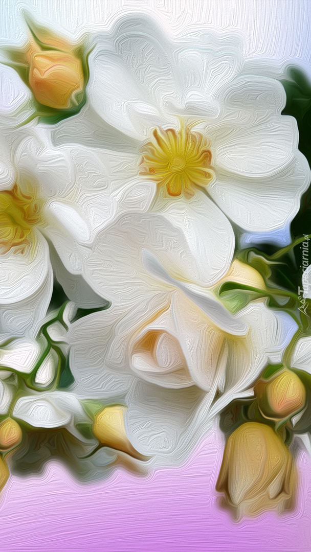 Białe róże z pąkami