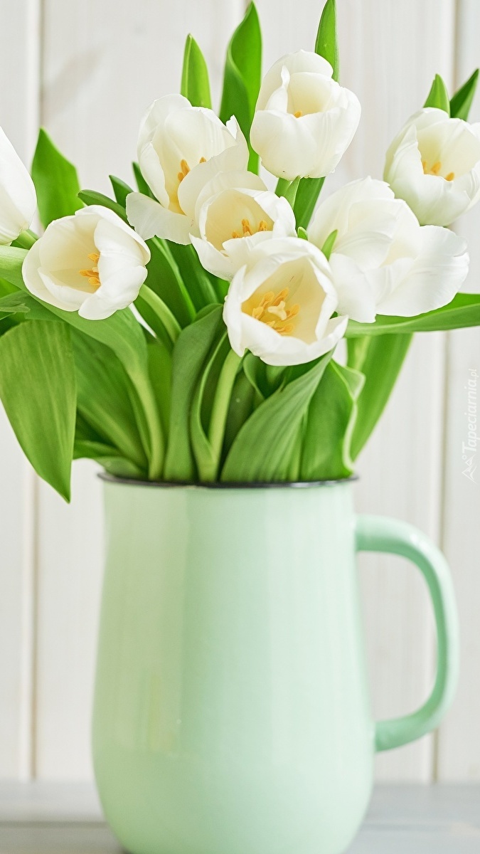 Białe tulipany w dzbanku