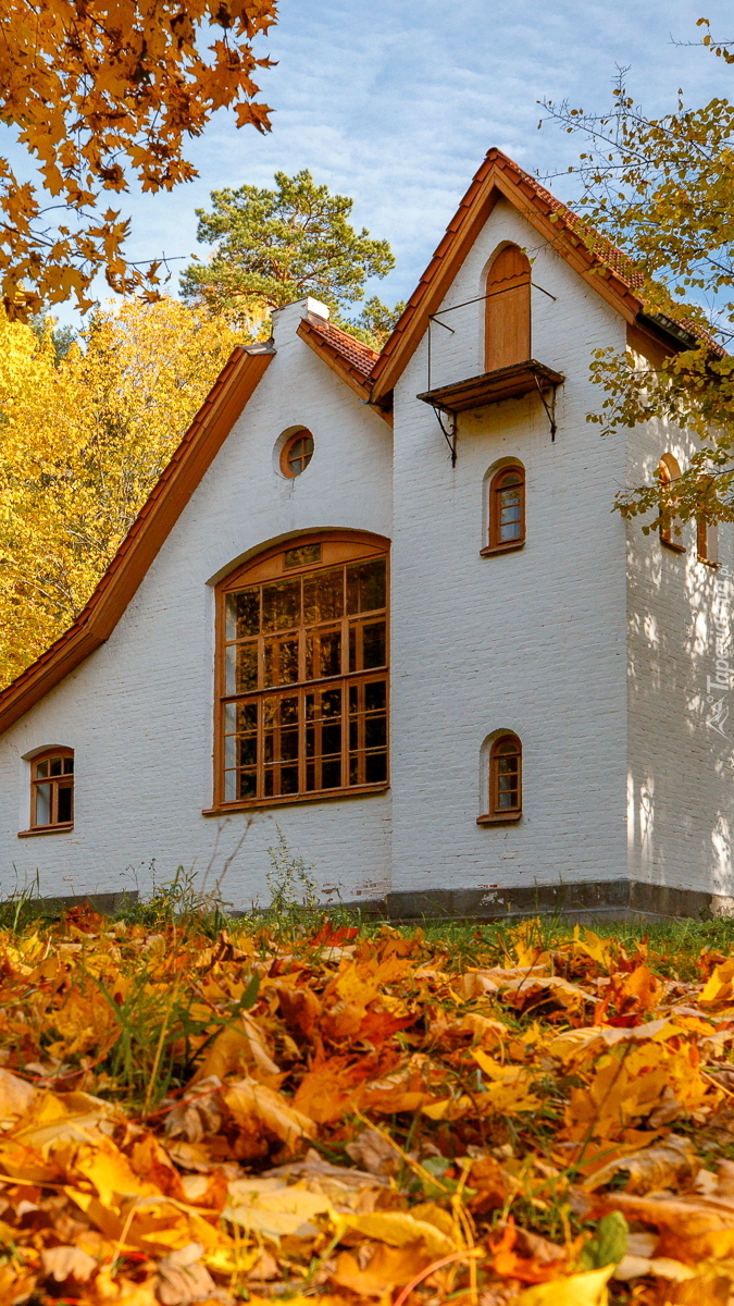 Biały dom z drewnianymi oknami