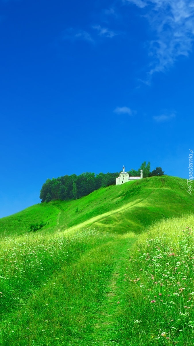 Biały domek na zielonym wzgórzu