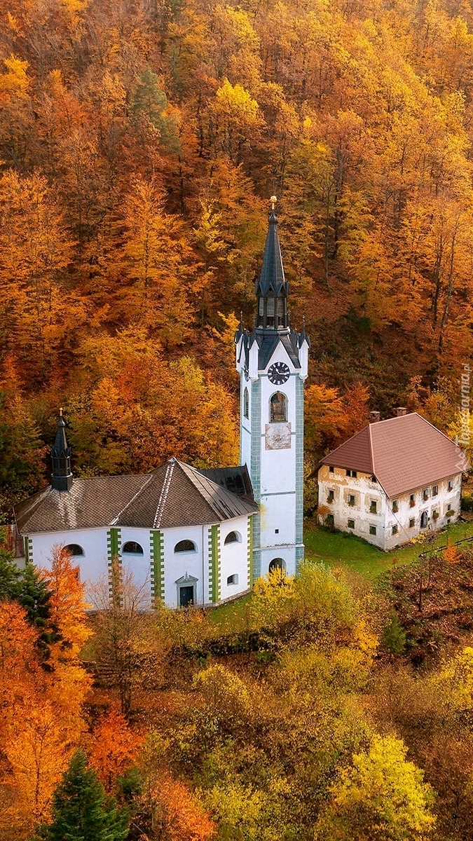 Biały kościół w jesiennym lesie