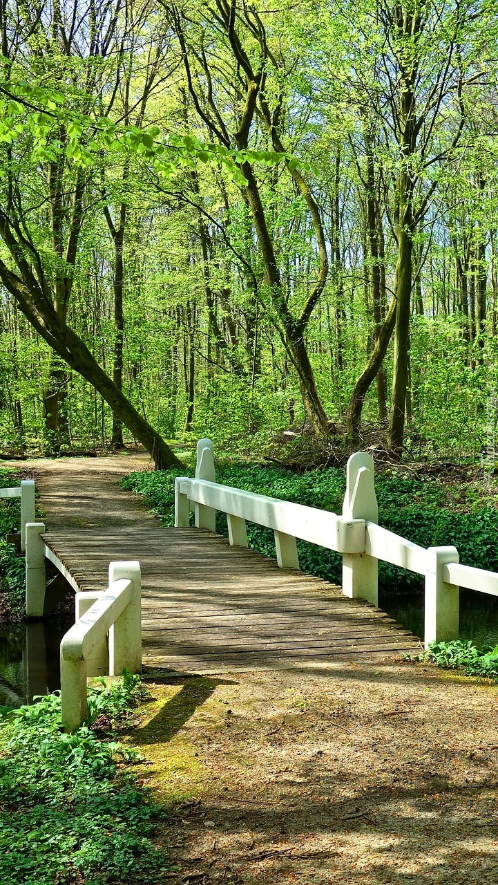 Biały mostek nad rzeką