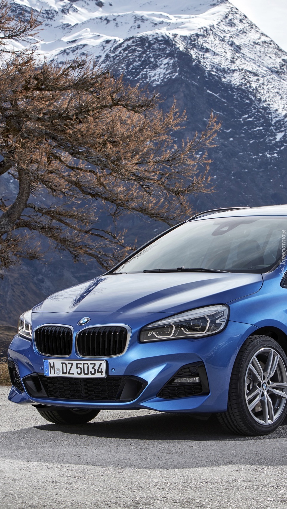 BMW M2 Gran Tourer F46