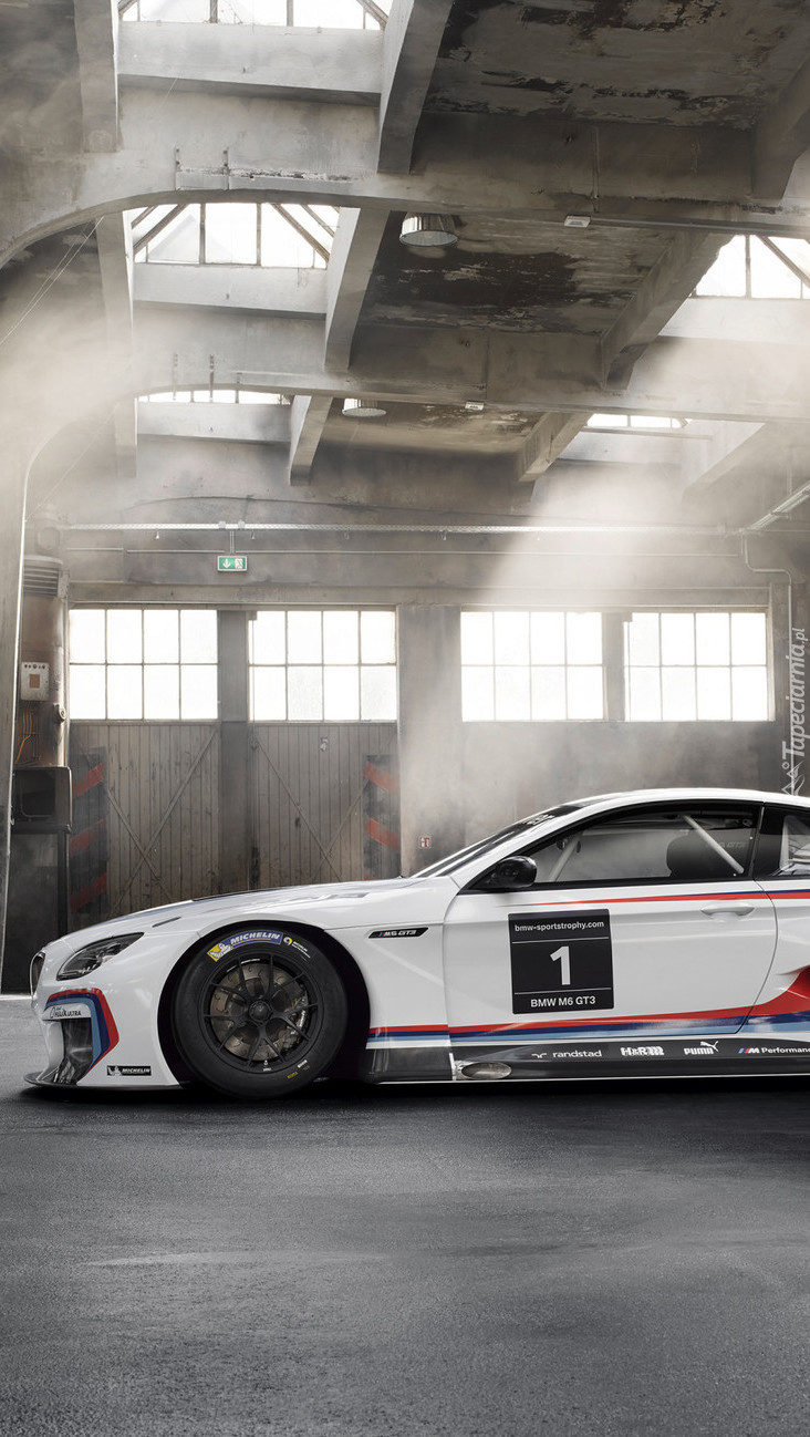 BMW M6 F13 GT3