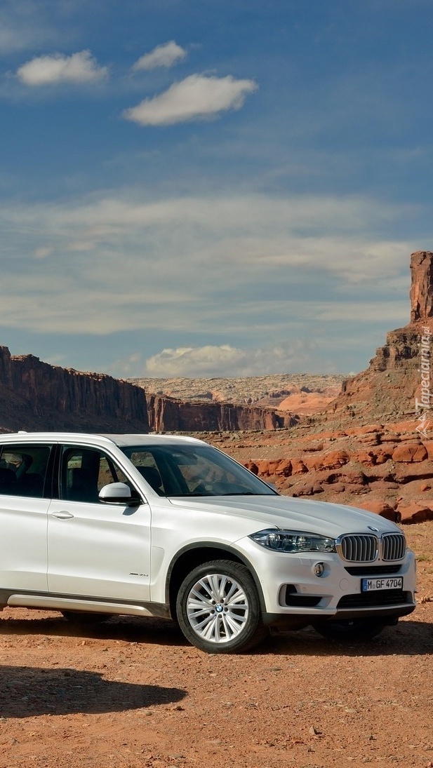 Bmw X5 w kanionie