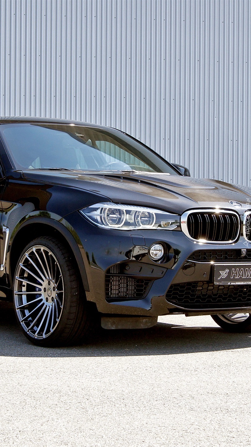 BMW X6 F86 Hamann 2015