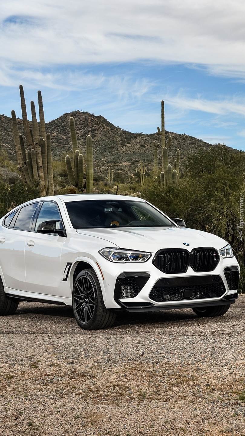 BMW X6 M