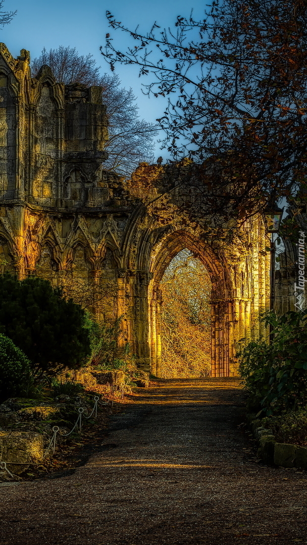 Brama York Minster w Anglii