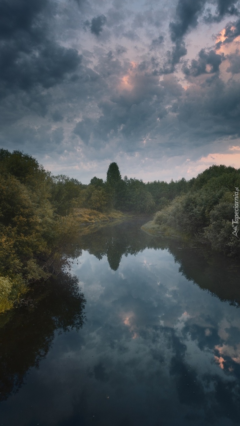 Brzegi rzeki Puya porośnięte drzewami