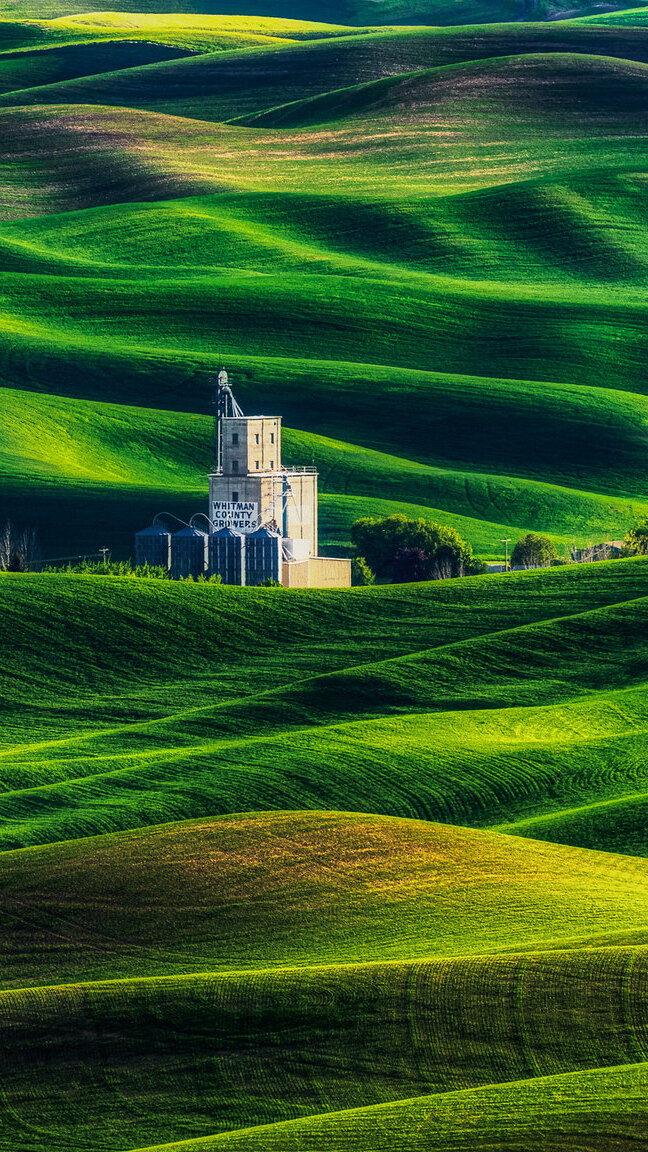 Budowla na zielonych wzgórzach w Palouse