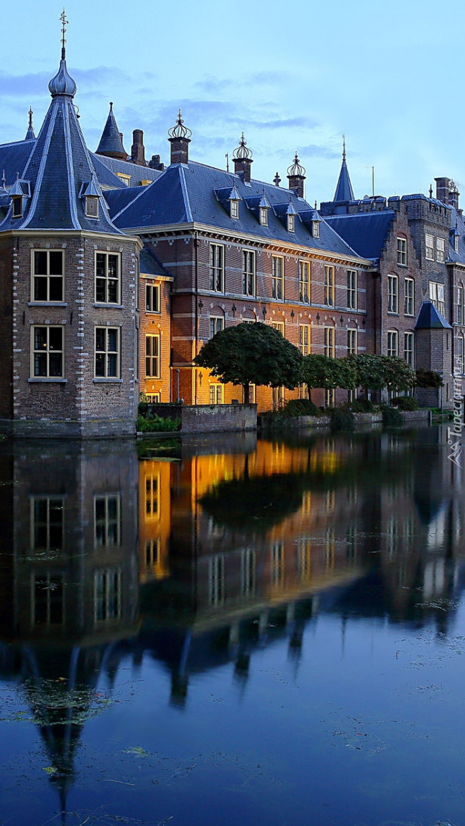 Budynki Binnenhof w Hadze