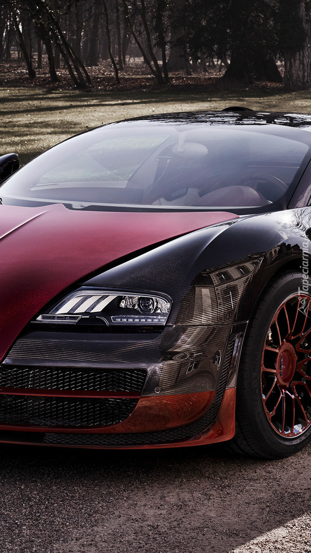 Bugatti Veyron Grand Sport Vitesse