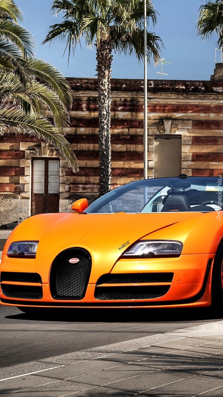 Bugatti Veyron Vitesse