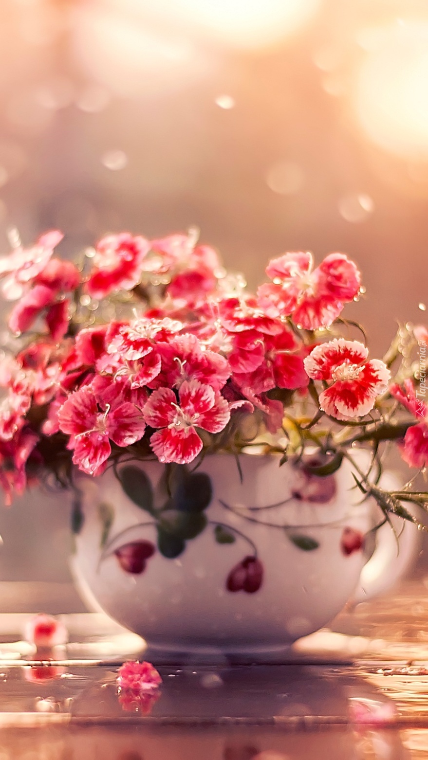 Bukiecik czerwonych kwiatków w wazoniku