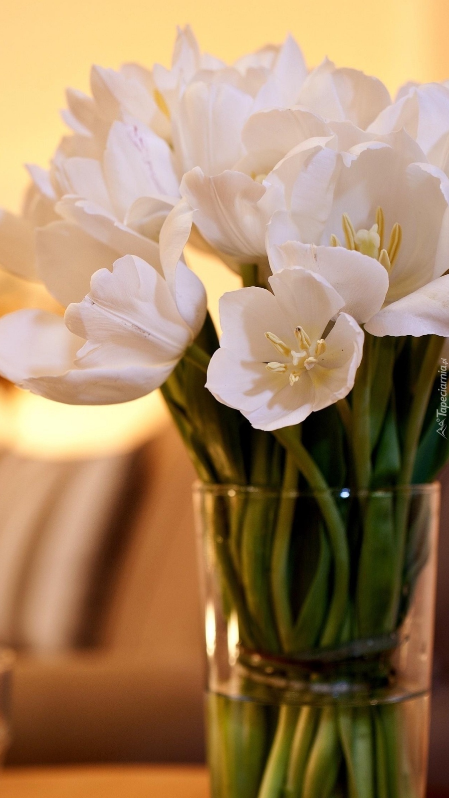 Bukiet białych tulipanów w szklanym wazonie