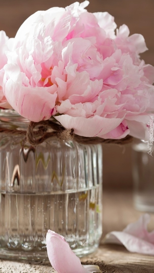 Bukiet Kwiatów w szklanym wazoniku