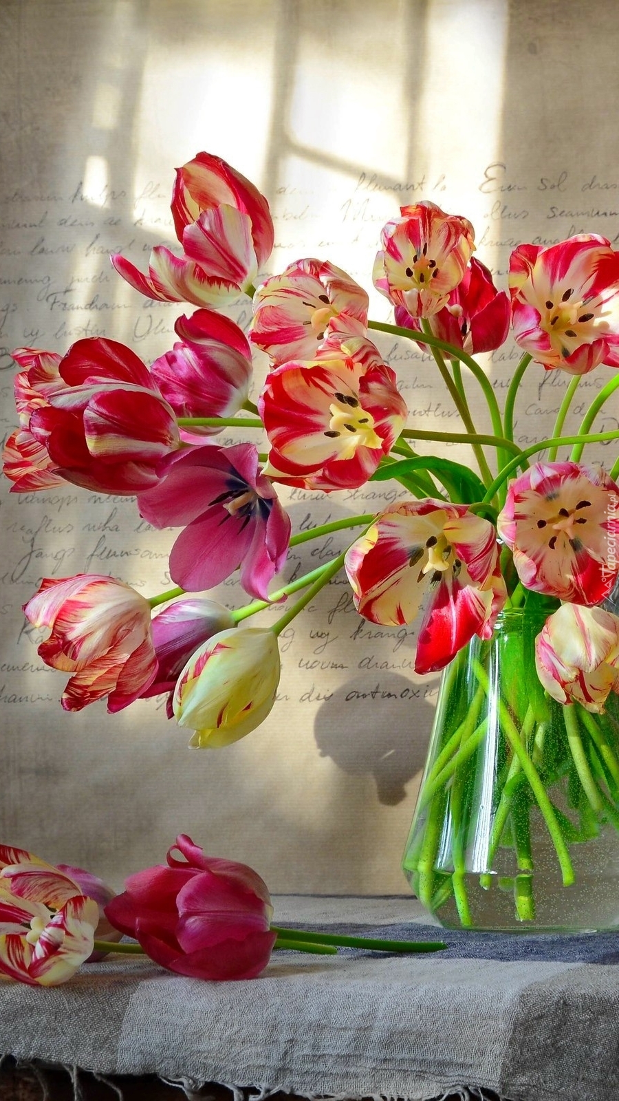 Bukiet różnokolorowych tulipanów w wazonie