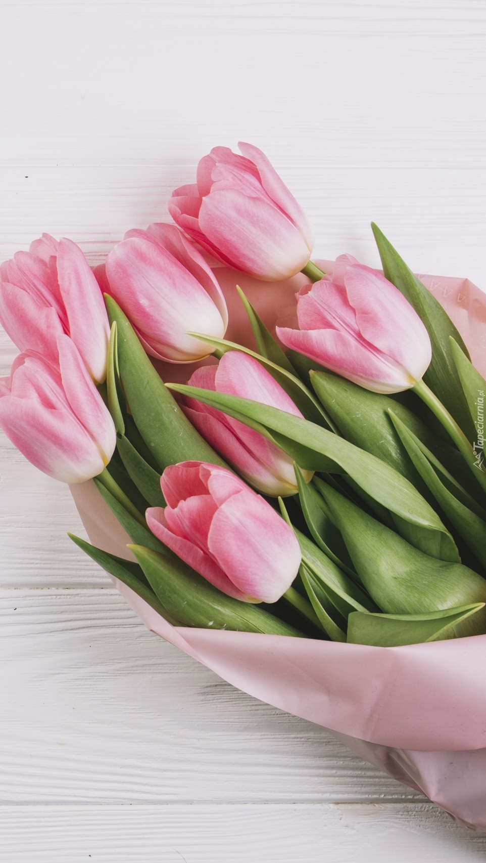 Bukiet różowych tulipanów