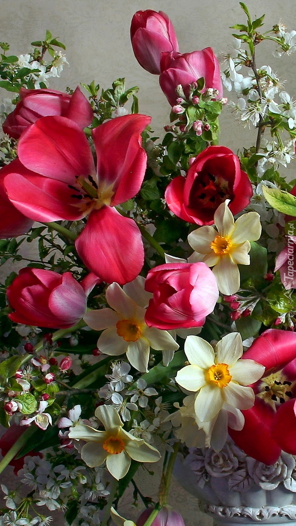 Bukiet tulipanów i narcyzów