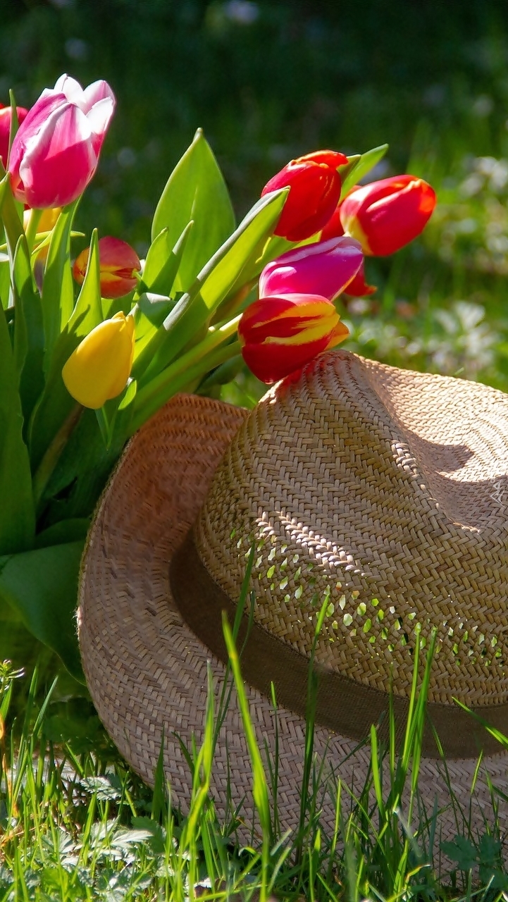Bukiet tulipanów przy kapeluszu