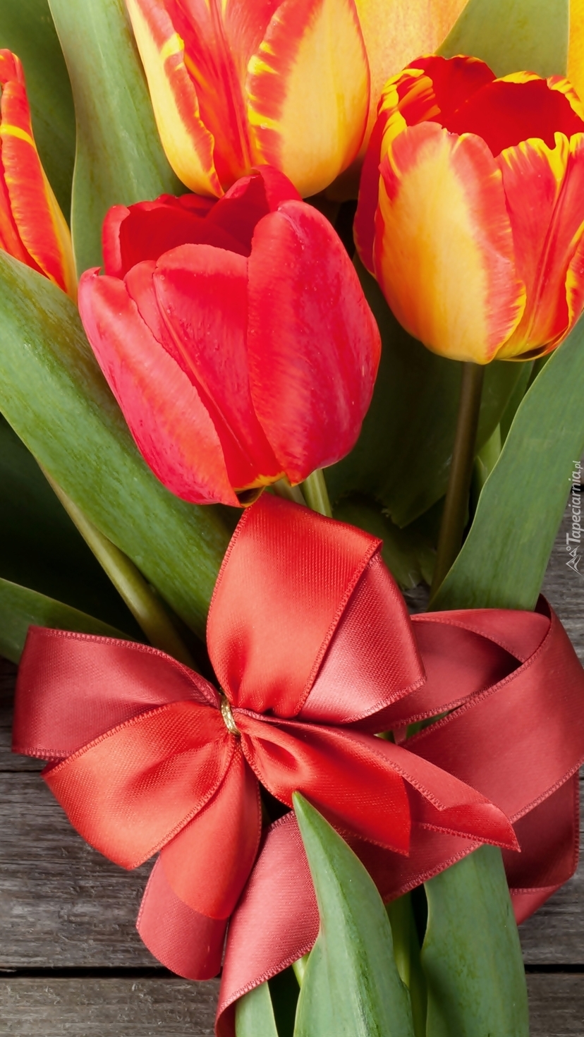 Bukiet tulipanów z czerwoną wstążką