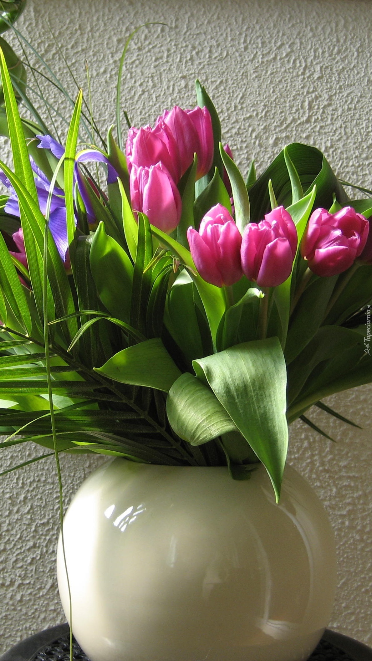 Bukiet tulipanów