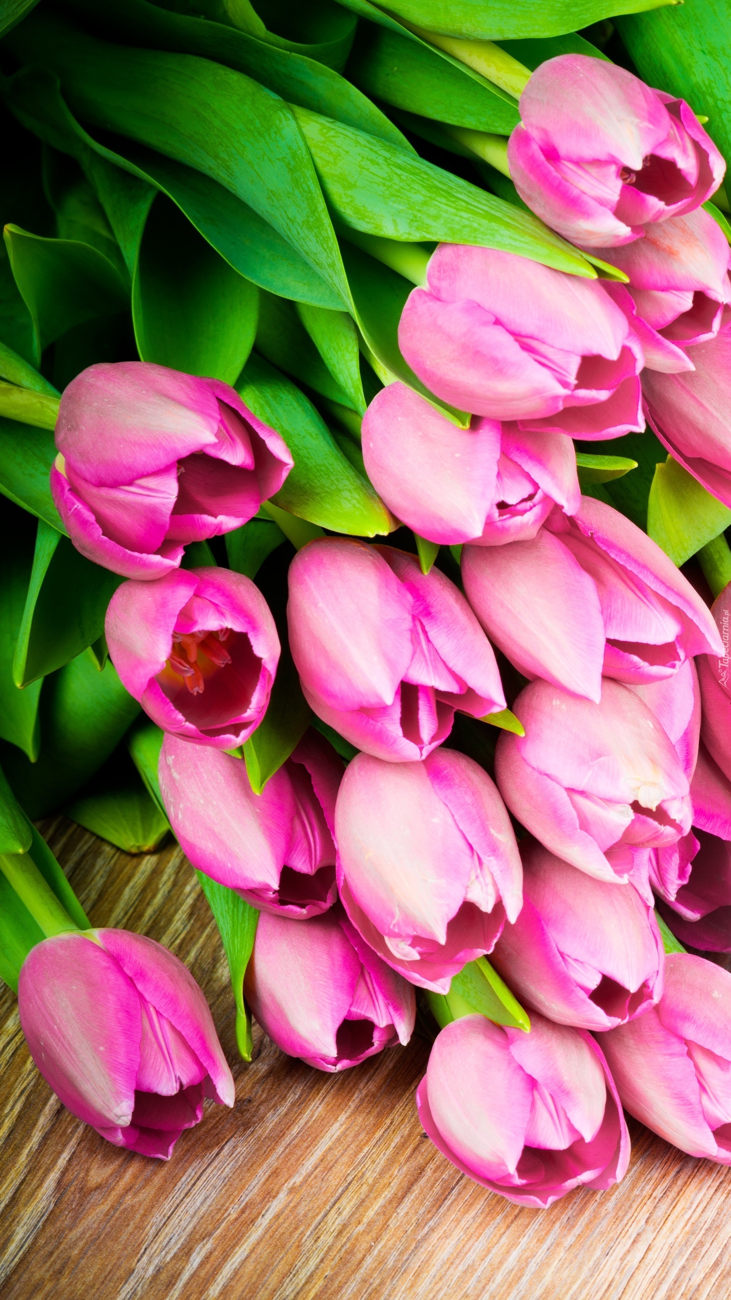 Bukiet wiosennych tulipanów