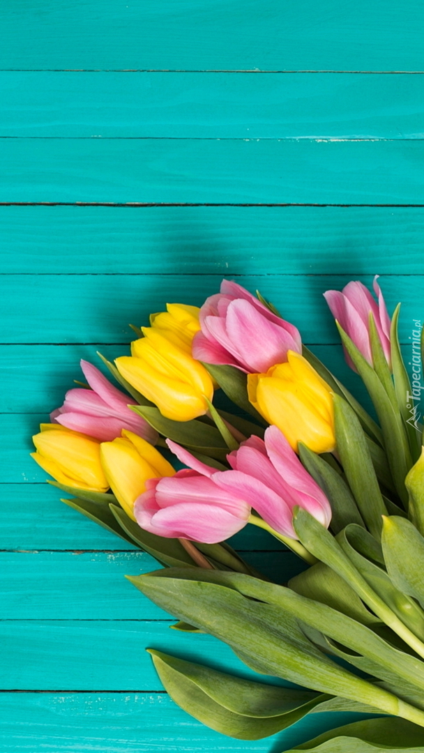 Bukiet żółtych i różowych tulipanów