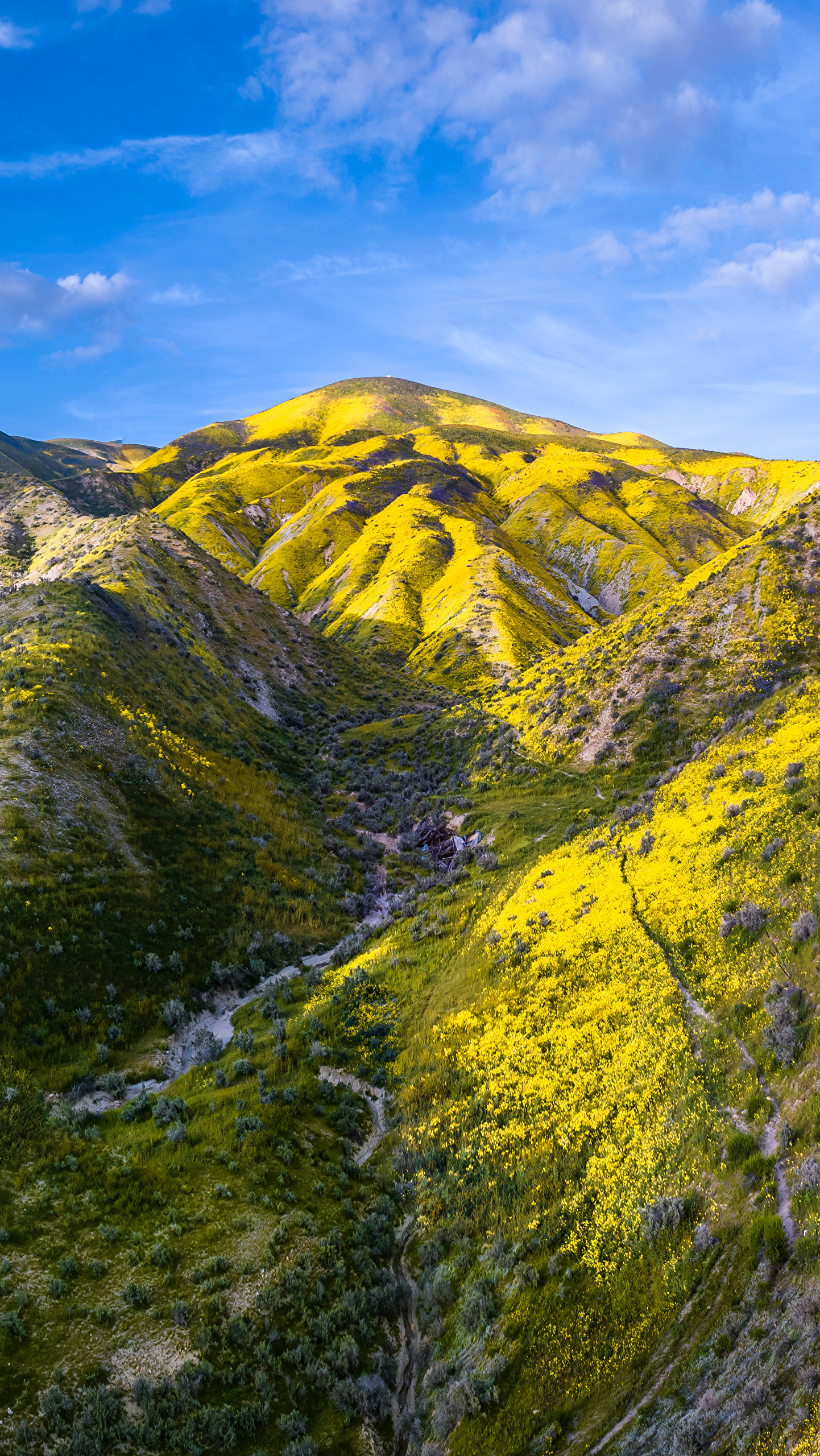 Carrizo Plain National Monument w Kalifornii