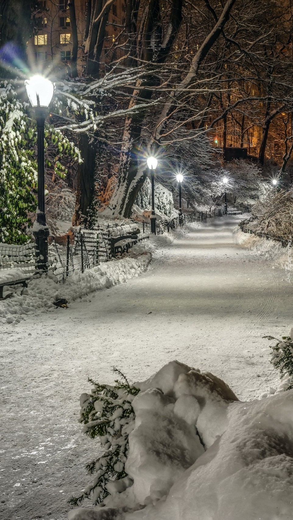 Central Park w Nowym Jorku zimą