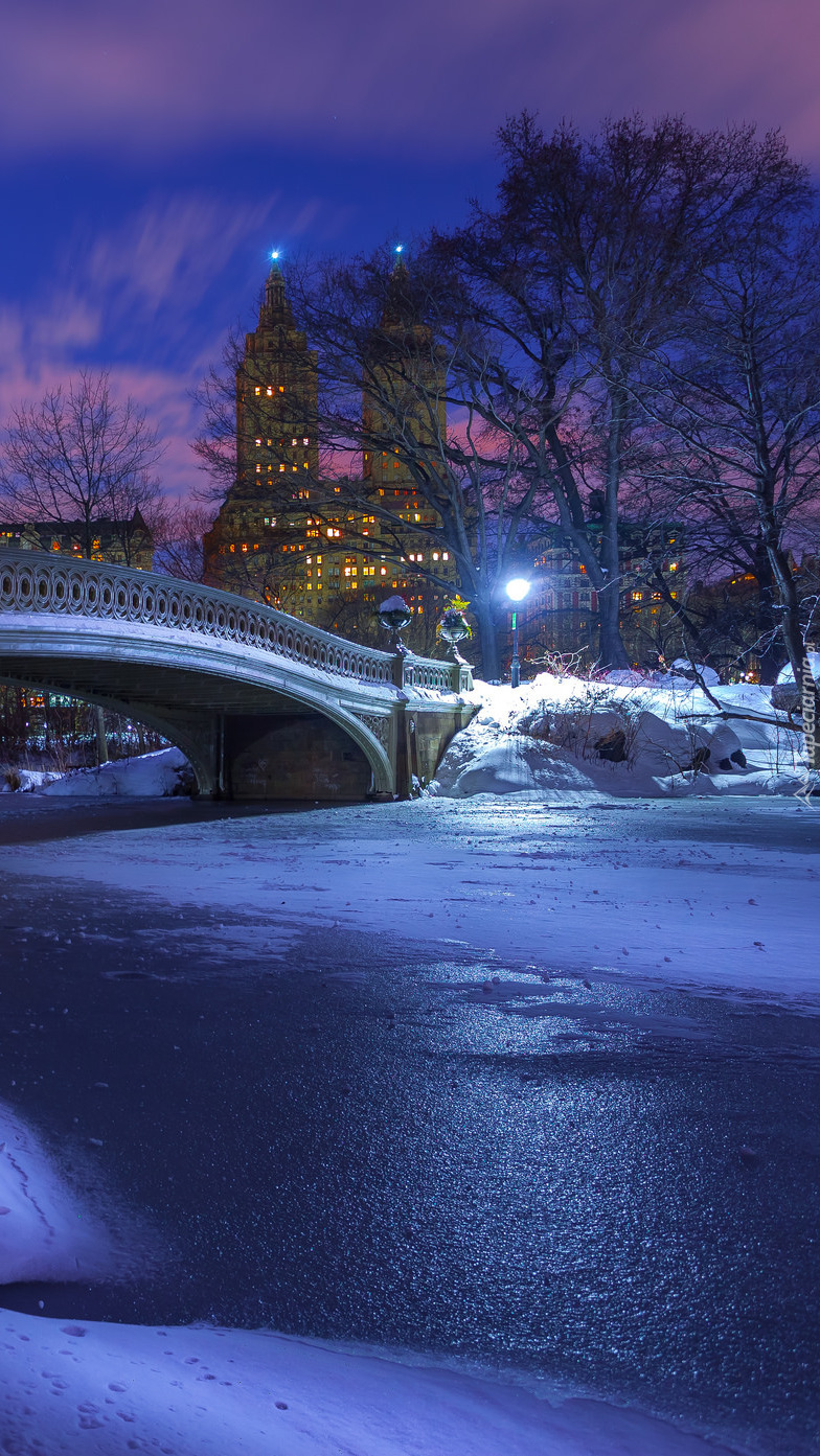 Central Park zimą