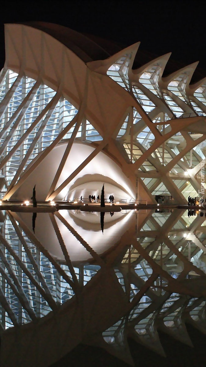 Centrum Ciudad de las Artes y las Ciencias