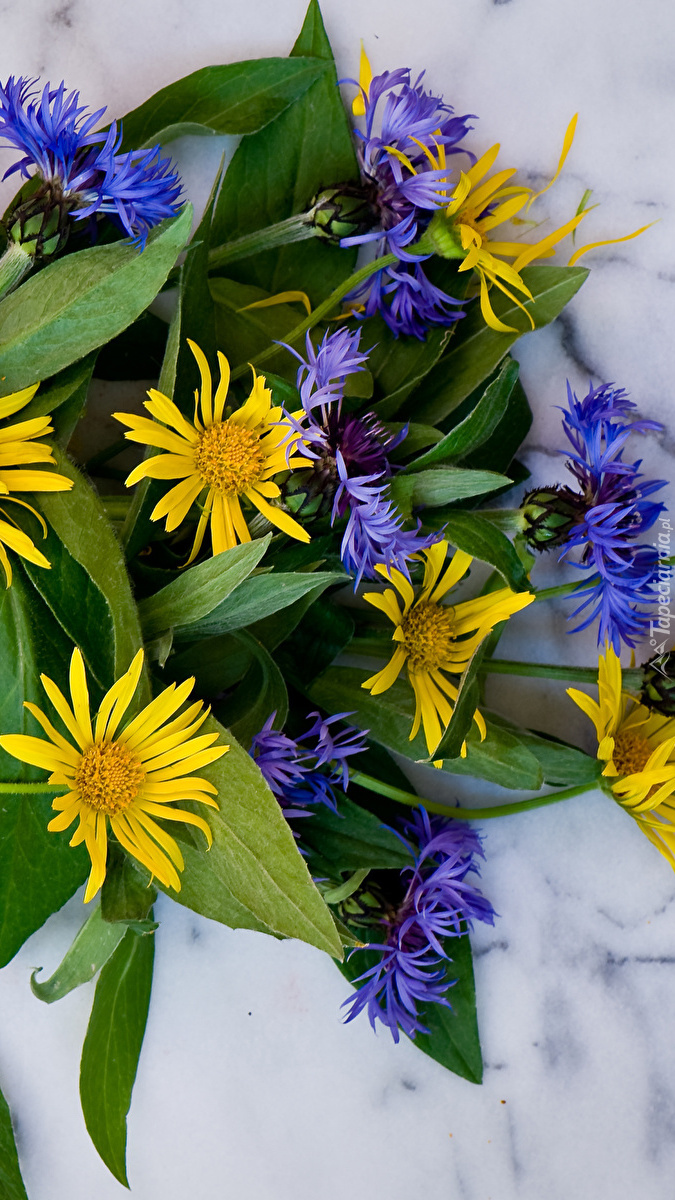 Chabry i żółte kwiaty w bukiecie