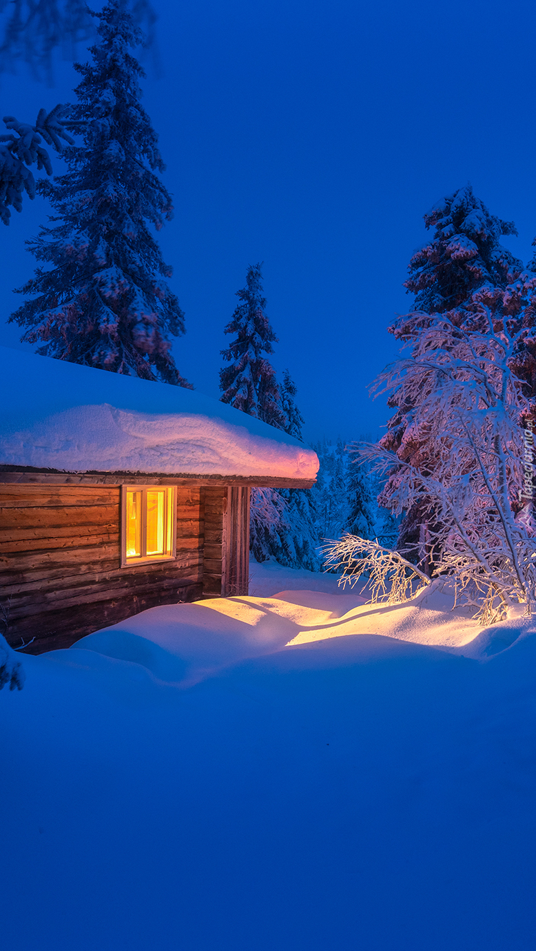 Chata w śniegu