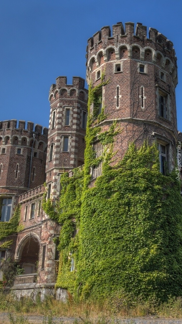 Chateau de la Foret w Belgii