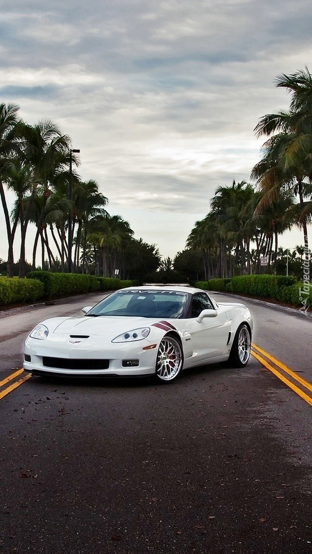 Chevrolet Corvette na asfaltowej drodze