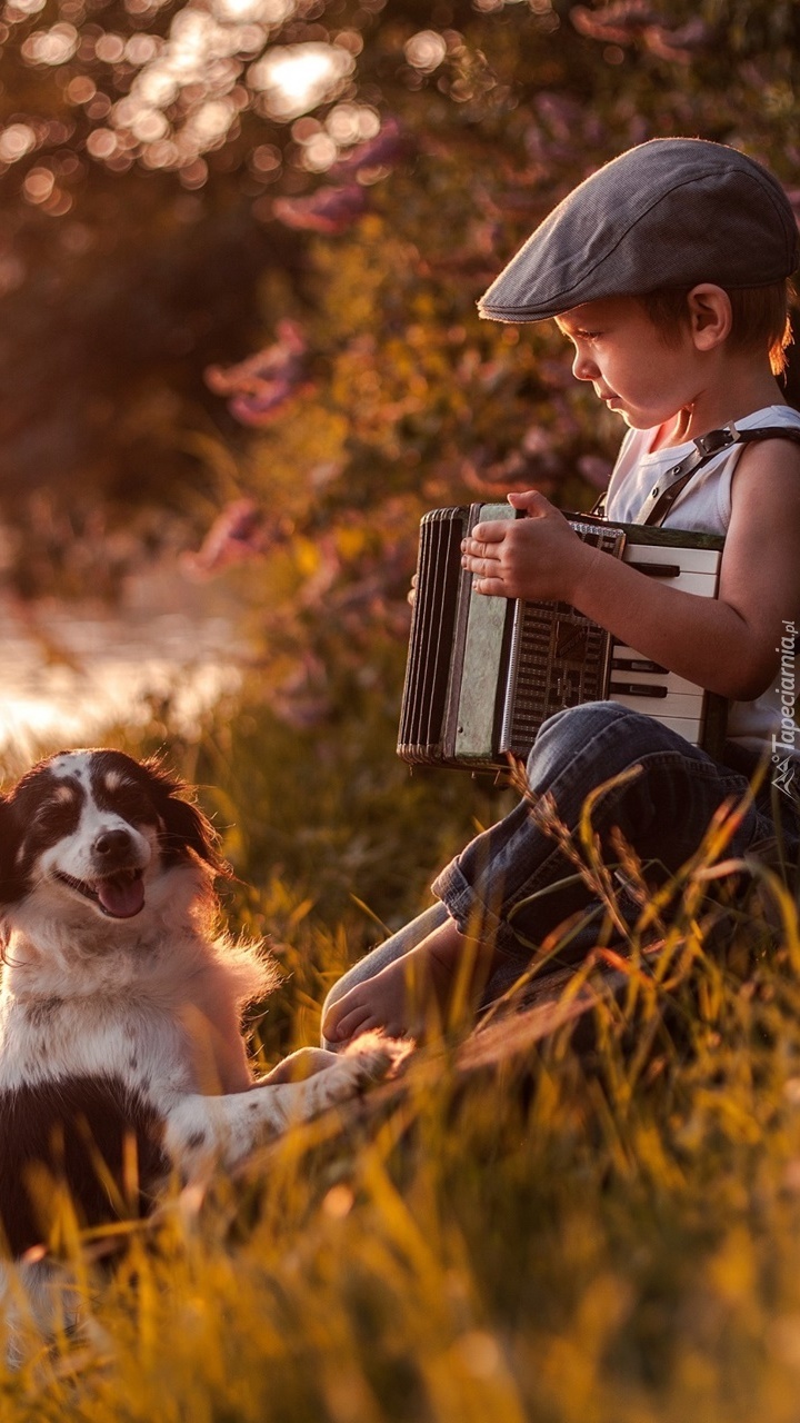 Chłopczyk grający psu na akordeonie