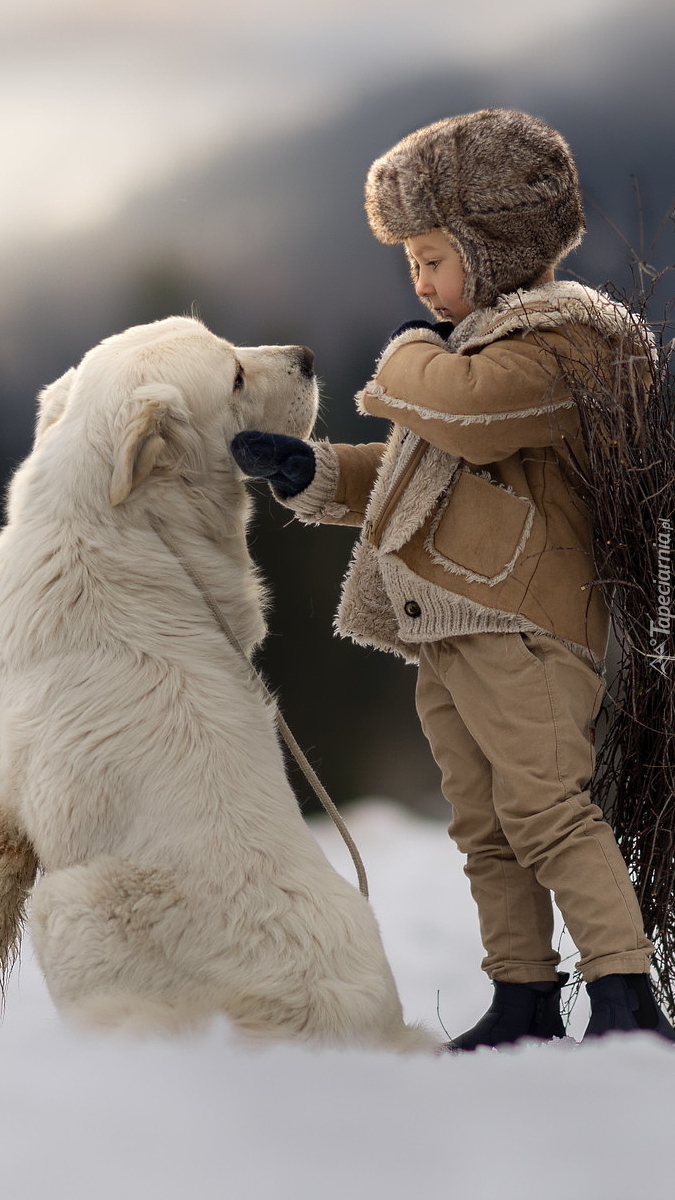 Chłopiec i biały pies