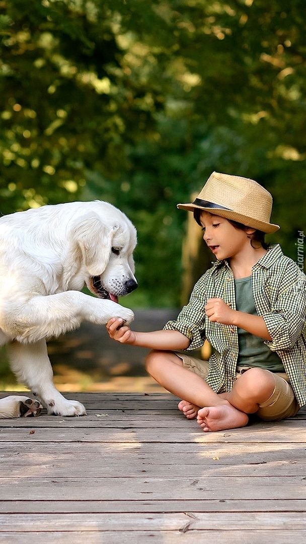 Chłopiec z labradorem retriever