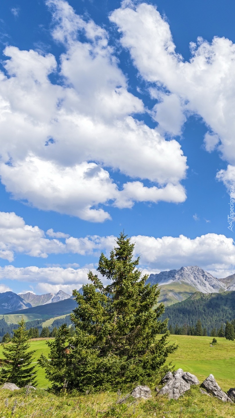 Chmury nad Górami Albula-Alpen