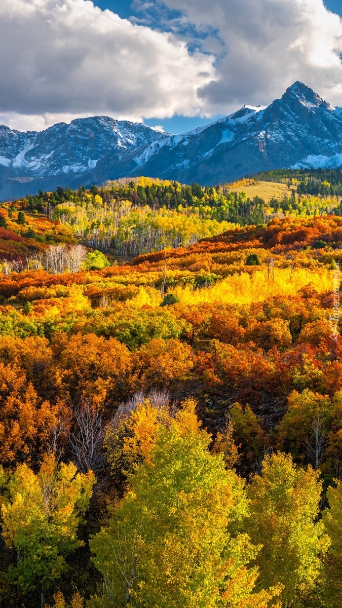 Chmury nad lasem i górami San Juan Mountains