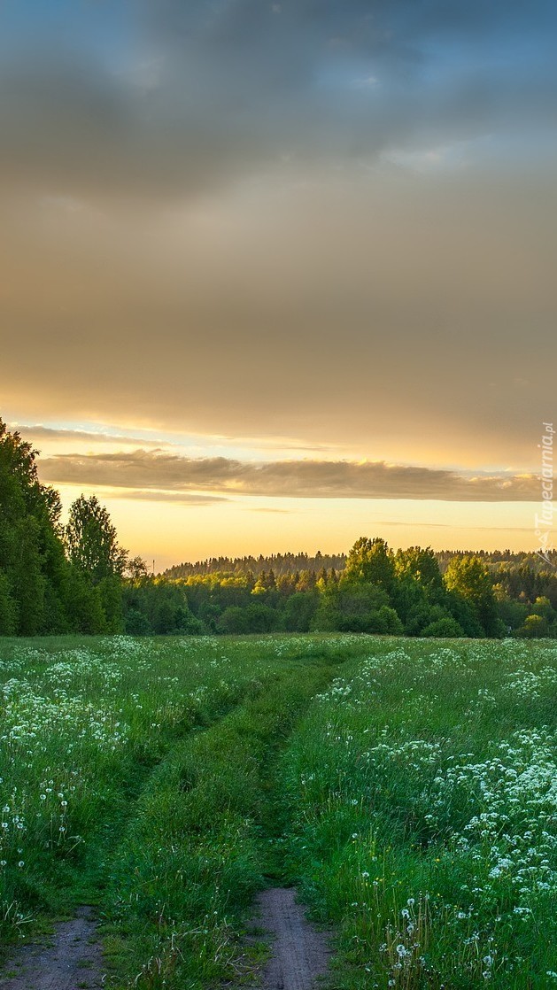 Chmury nad wiosennymi polami