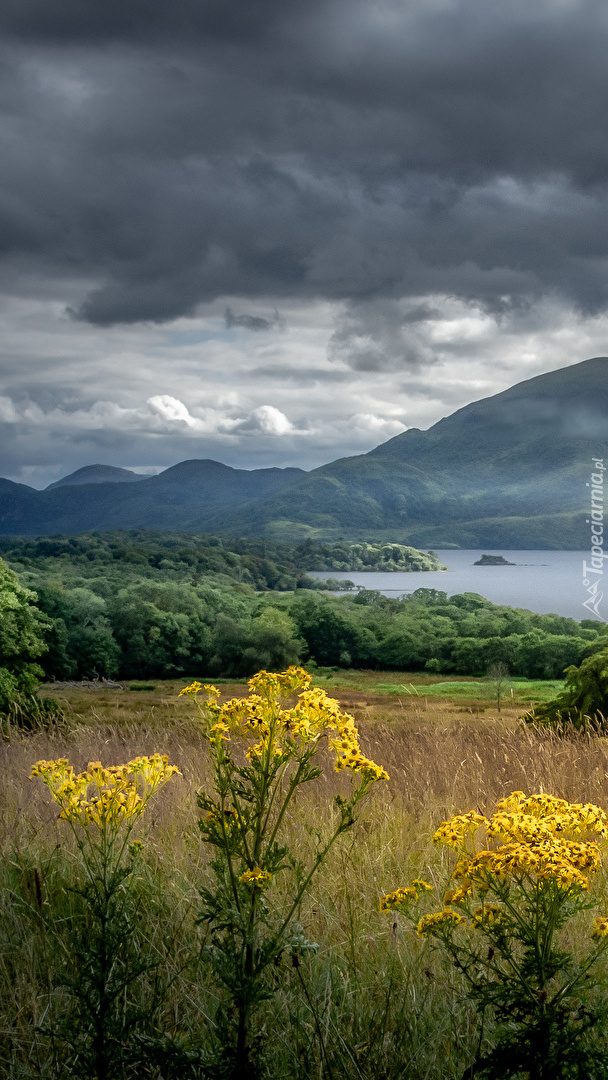 Ciemne chmury nad Parkiem Narodowym Killarney w Irlandii