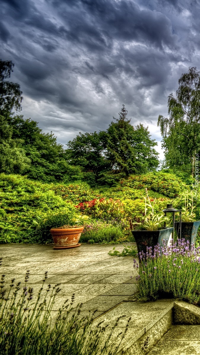 Ciemne chmury nad parkiem