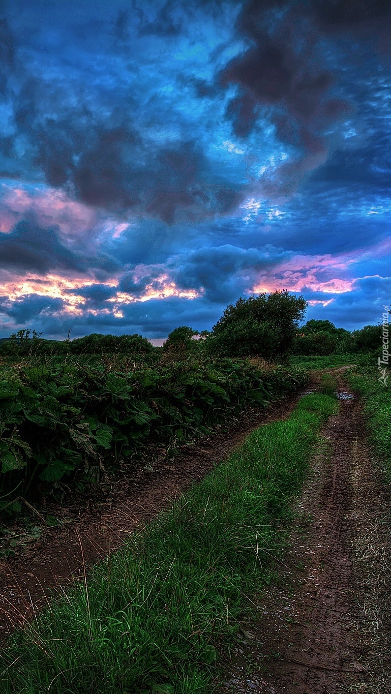 Ciemne chmury nad polną drogą