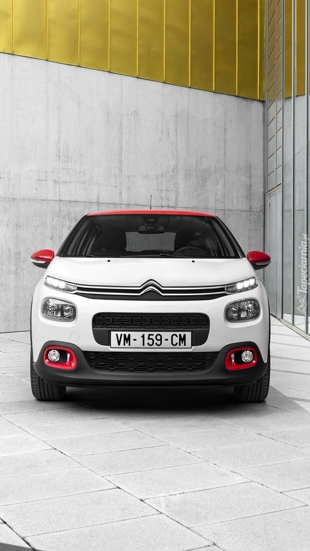 Citroen C3 pod ścianą