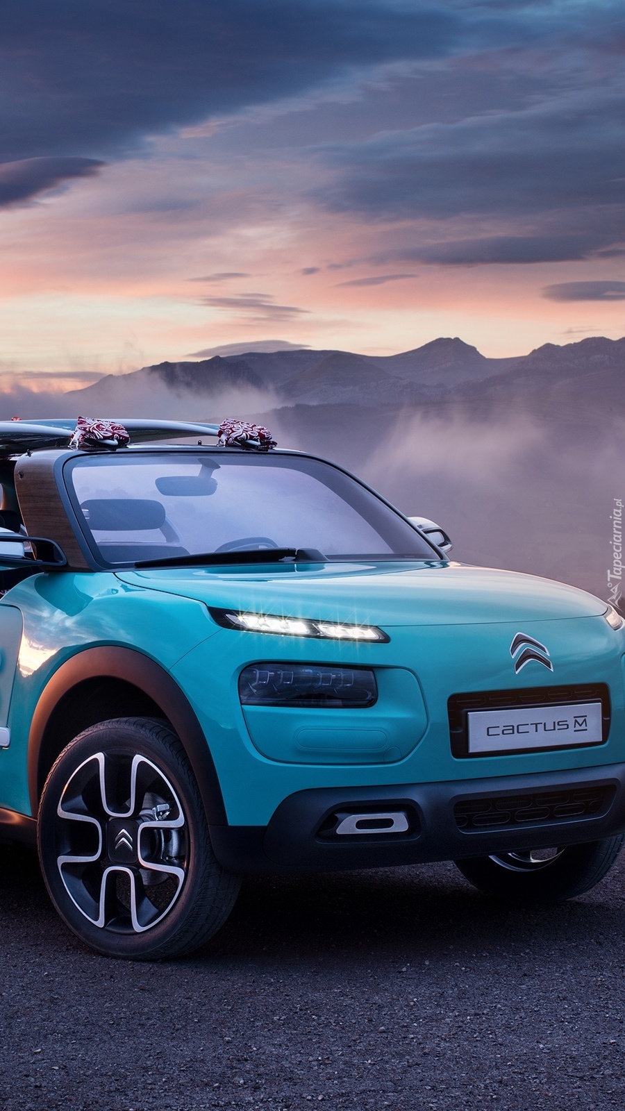 Citroen Cactus M Concept