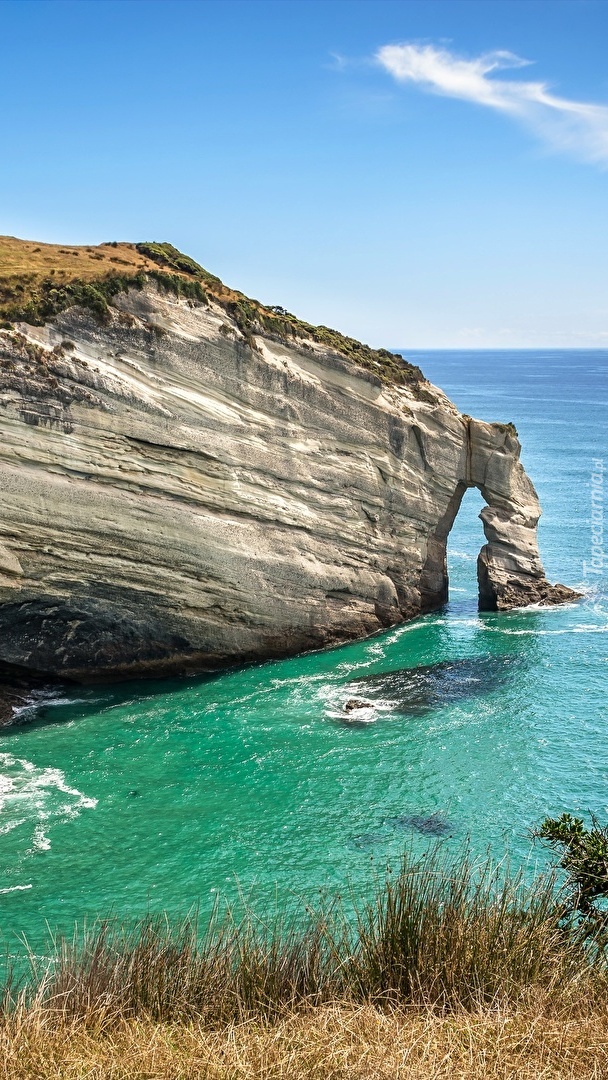 Cypel Cape Farewell Arch