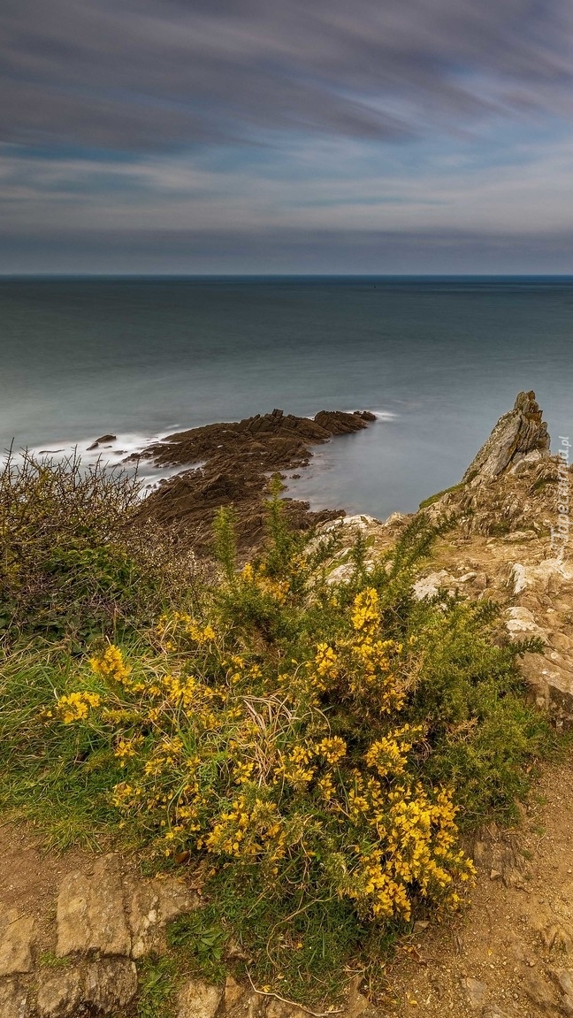 Cypel Pointe du Grouin